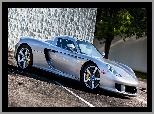 Porsche Carrera GT, 2003-2007