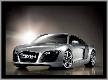 Audi R8, Sportowe